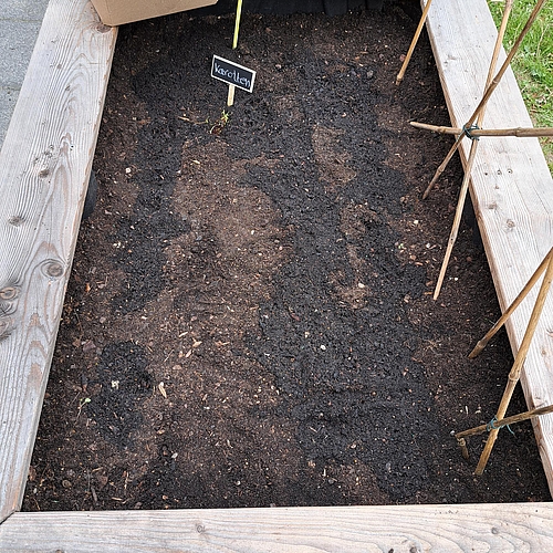 Hochbeet 1 nach der Bepflanzung